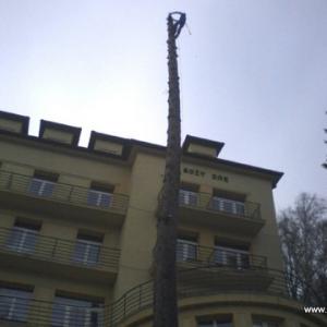 Prace wysokościowe -ścinanie drzew