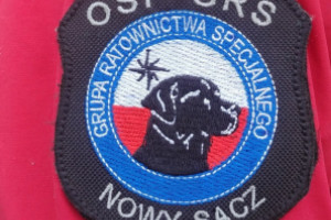 Zakończone szkolenia jednostek OSP z terenu powiatu nowosądeckiego z ratownictwa wysokościowego ewakuacja z kolei linowych.